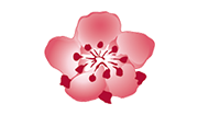 China Airlines